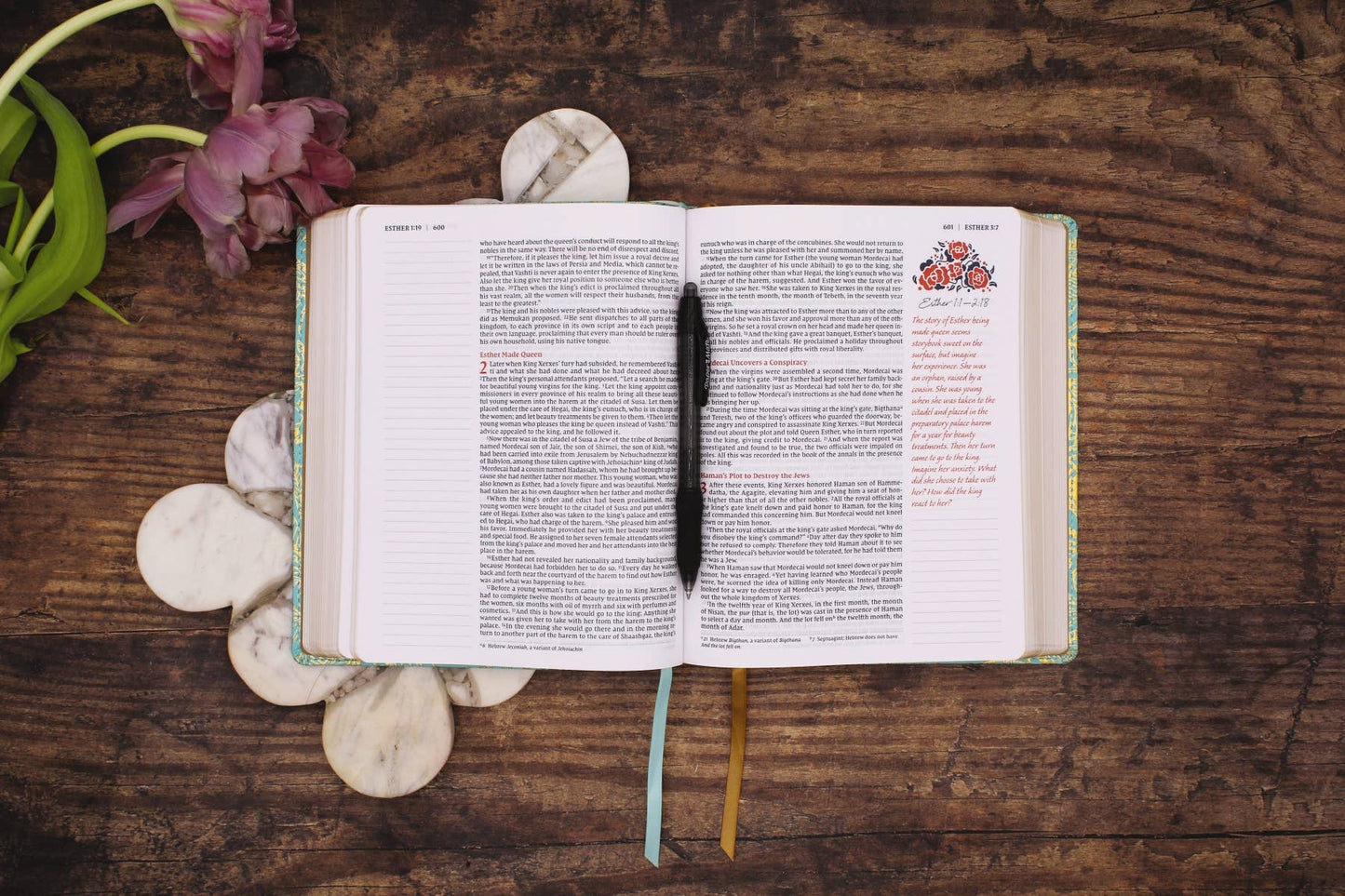 Journal The Word Bible For Women, NIV