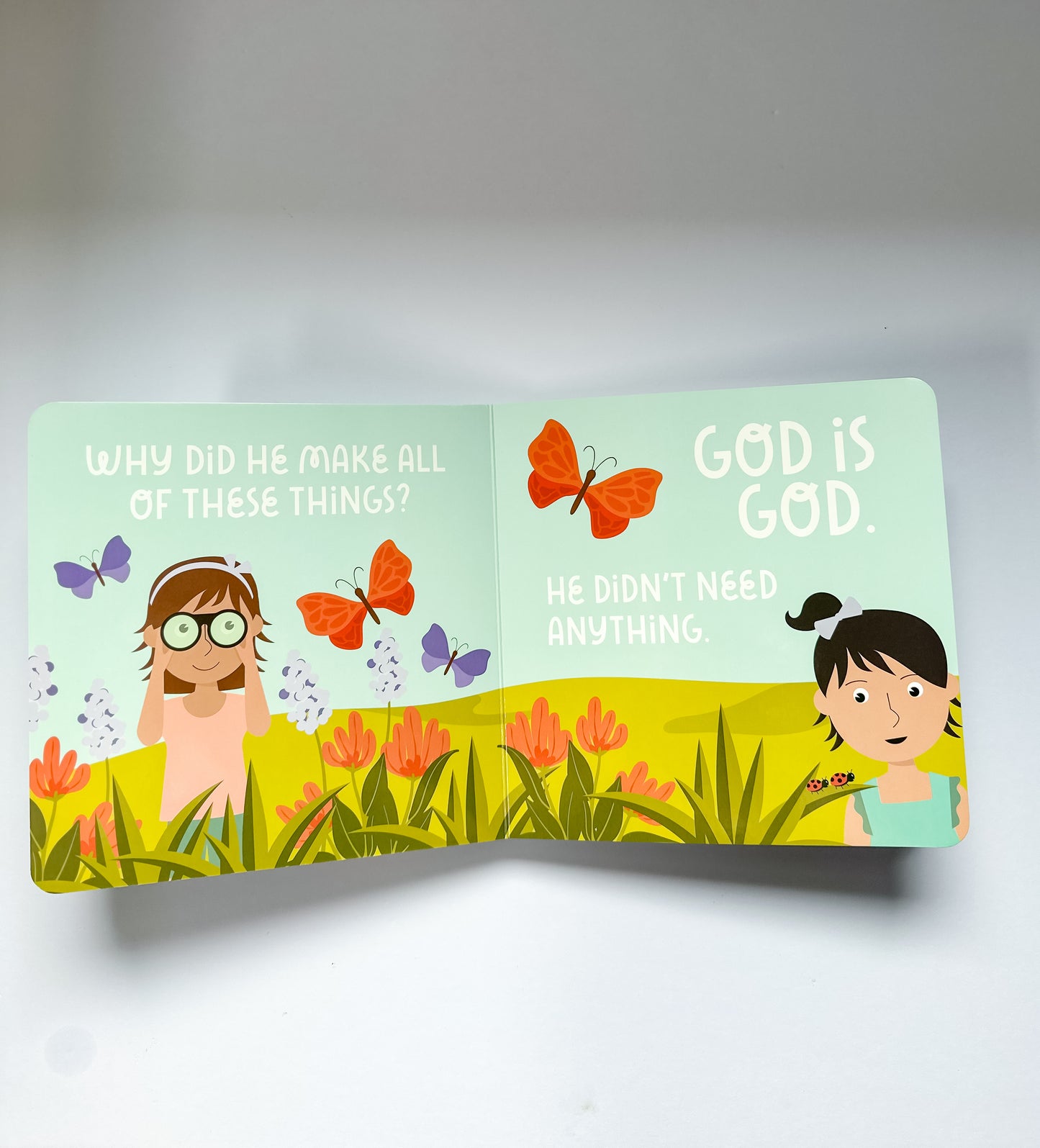 Who Made You? Board Book