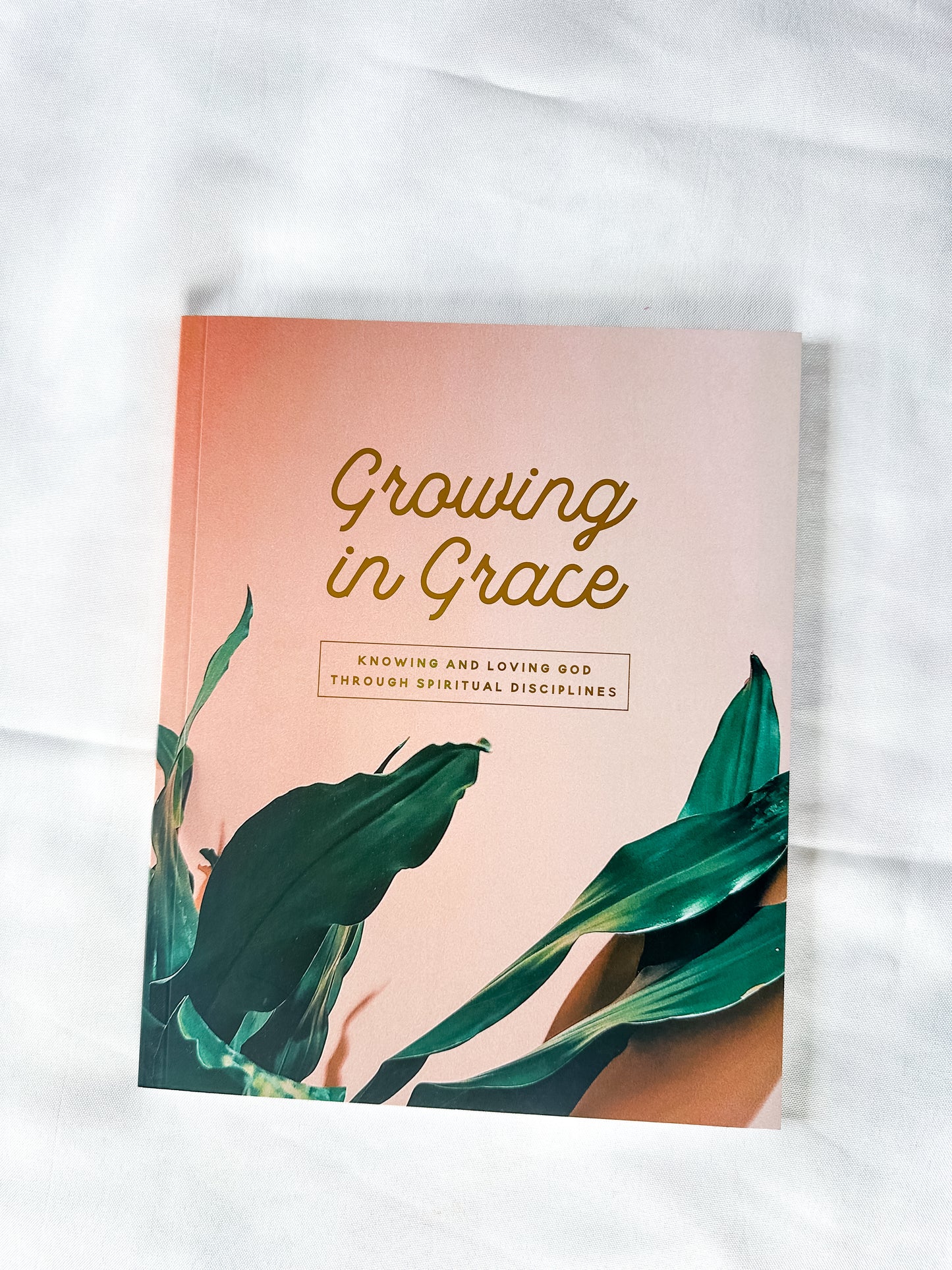 Growing in Grace | Spiritual Disciplines Study
