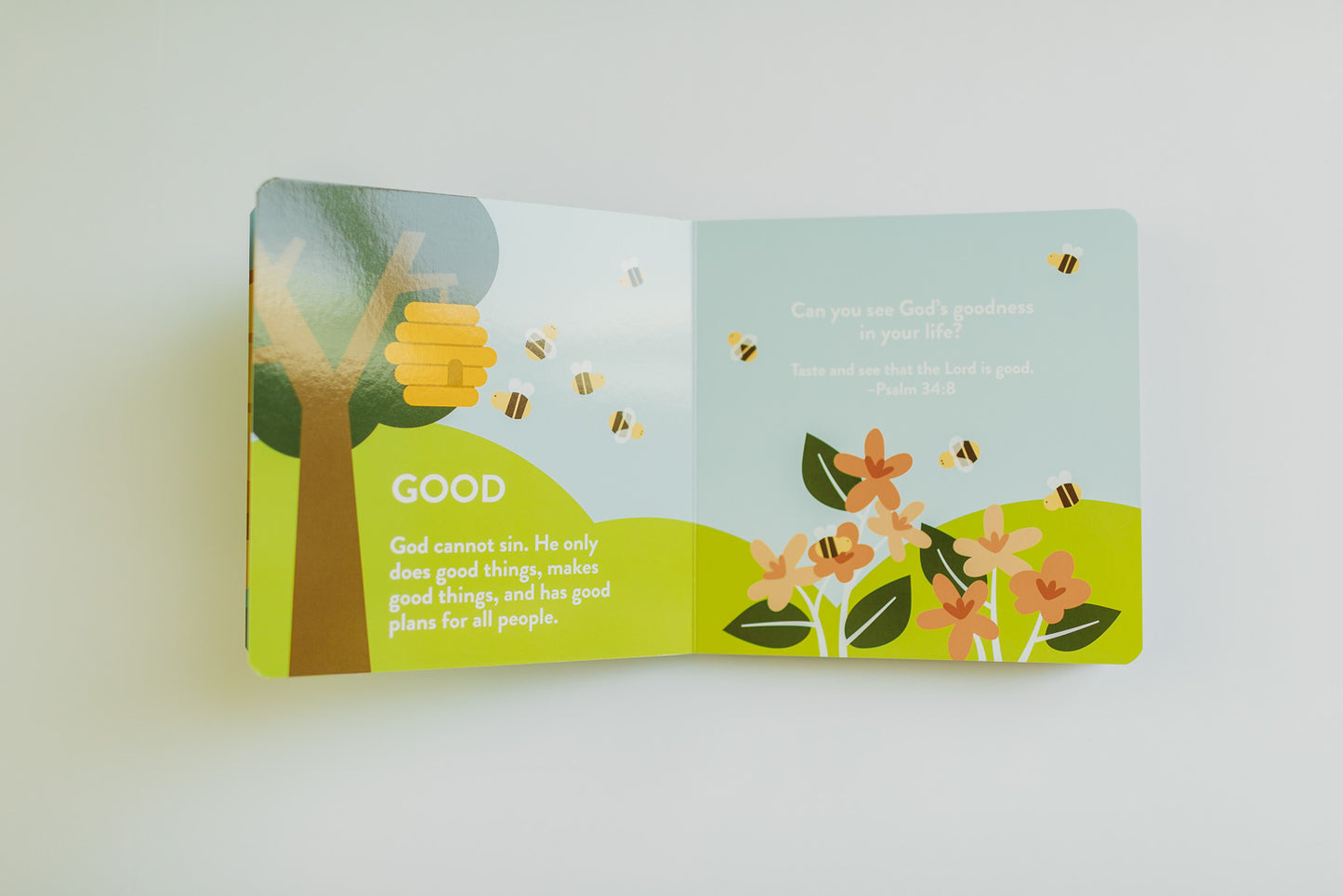 Attributes of God Kids Board Book