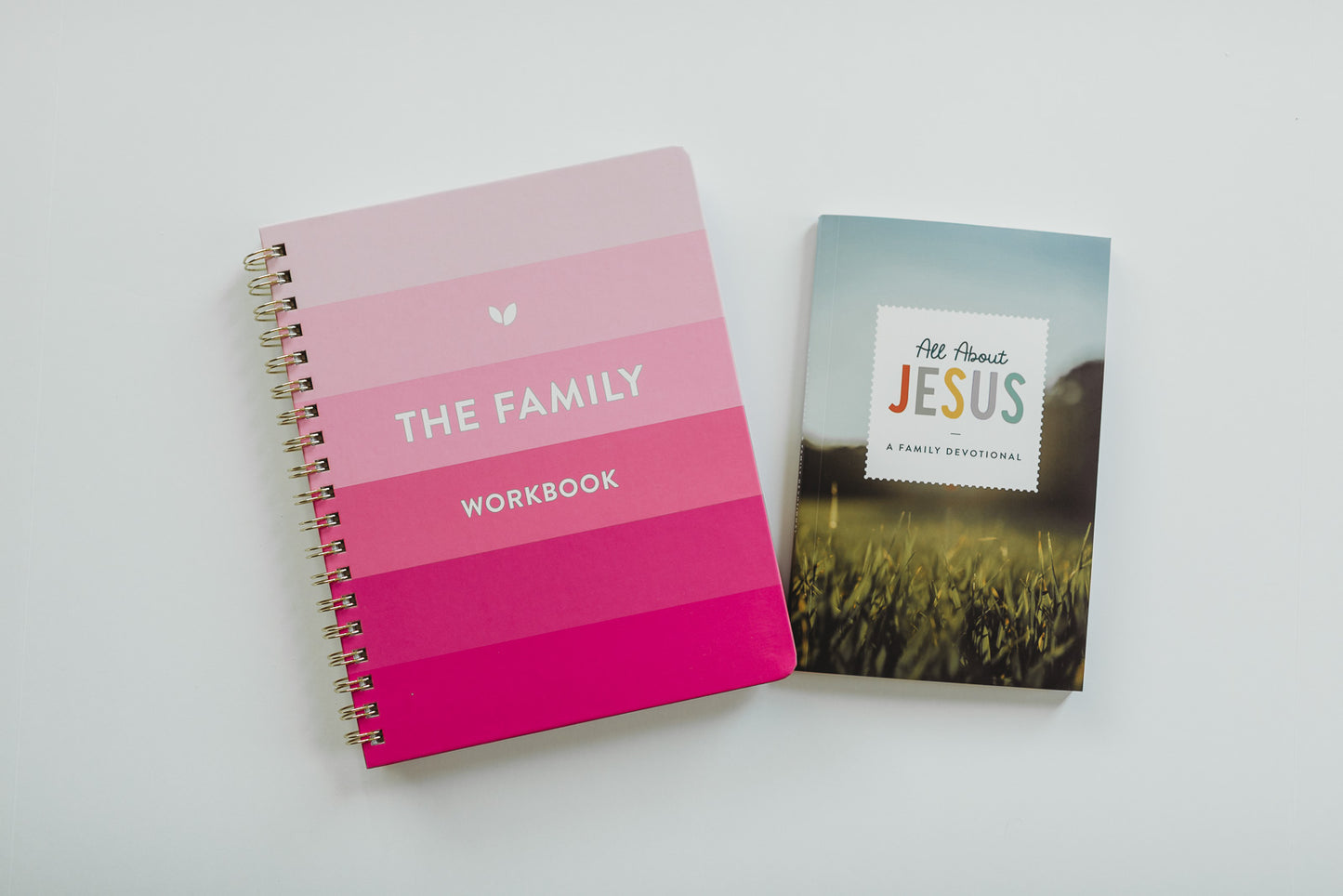 The Family Workbook