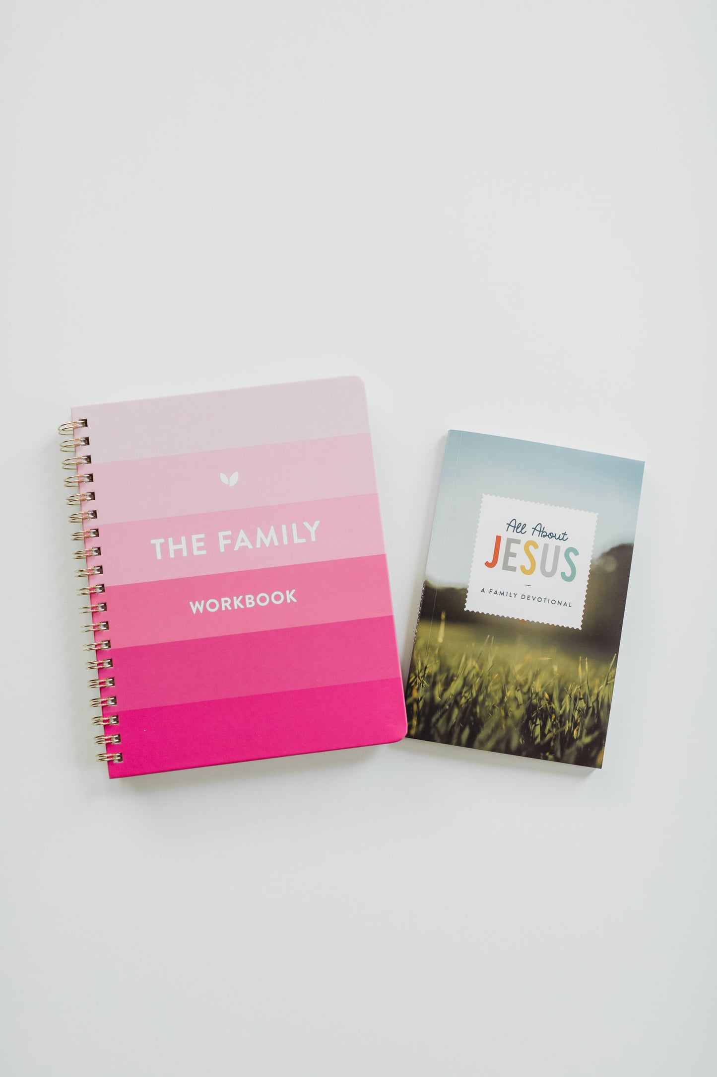 The Family Workbook