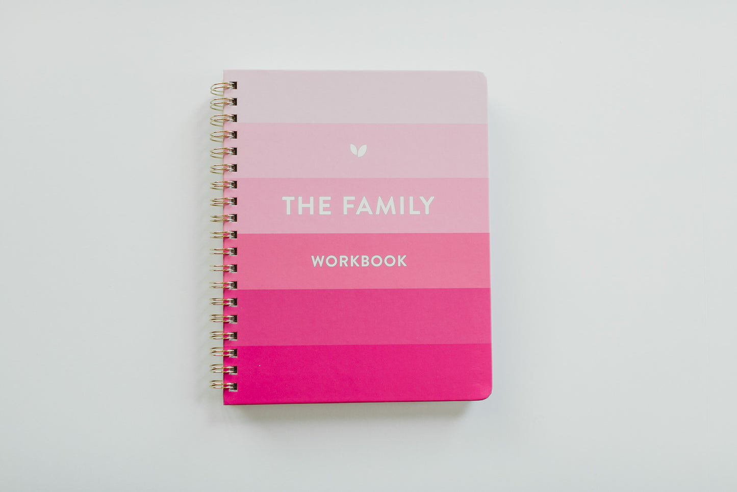 The Family Workbook