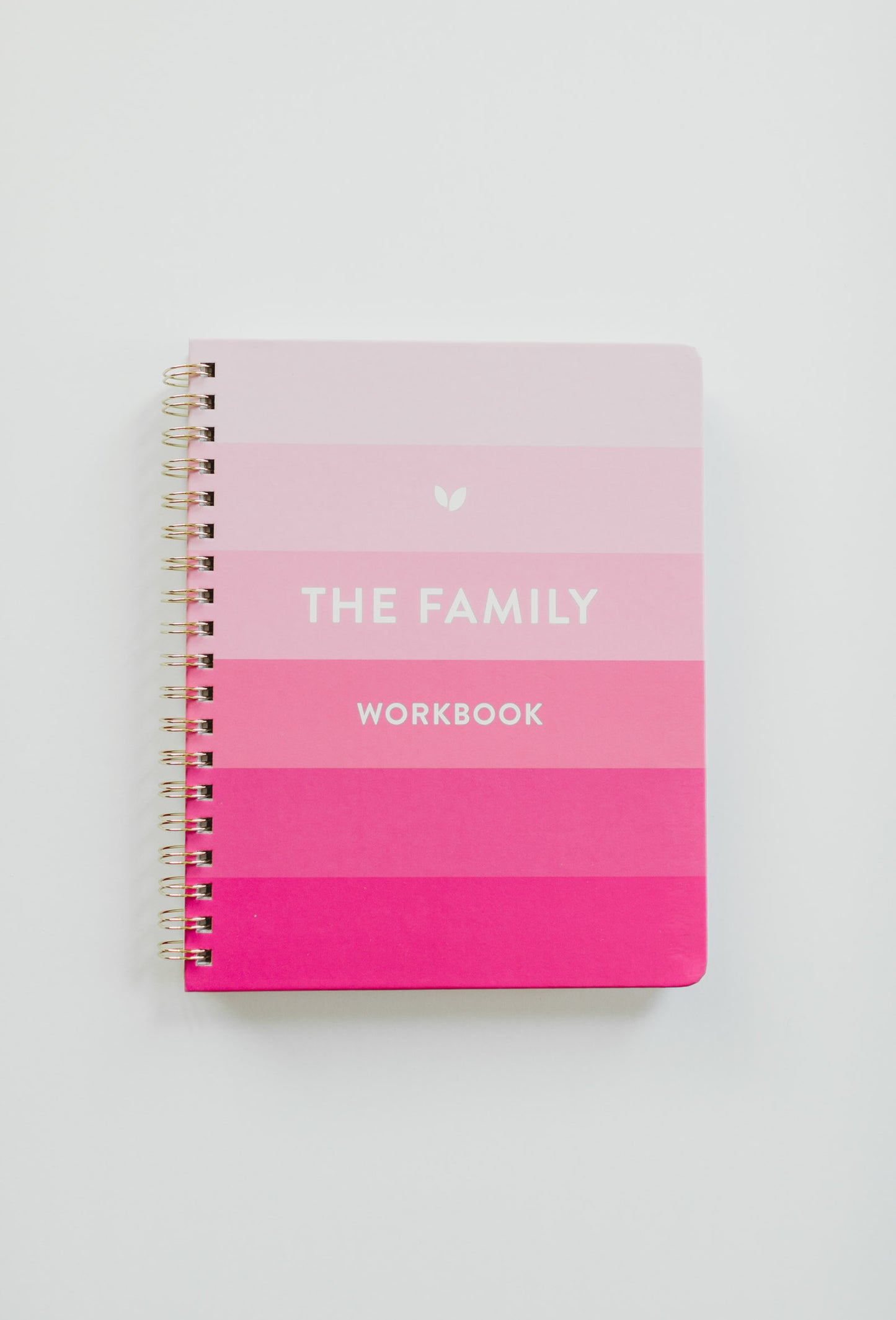 The Family Workbook
