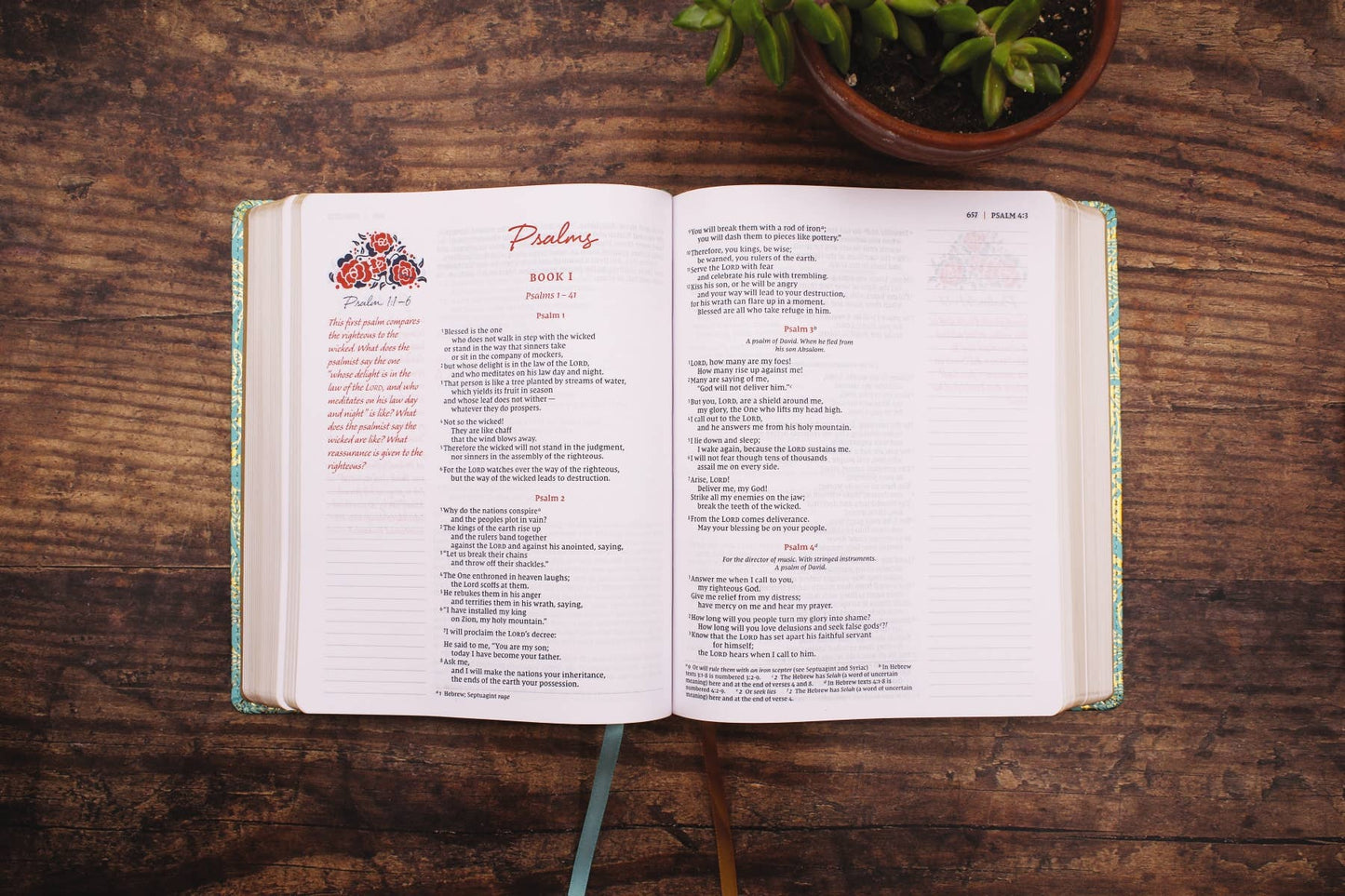 Journal The Word Bible For Women, NIV