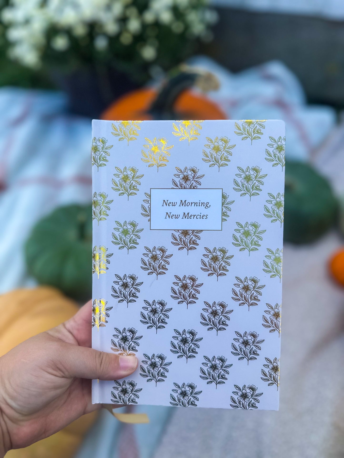 Daily Journal | New Morning, New Mercies