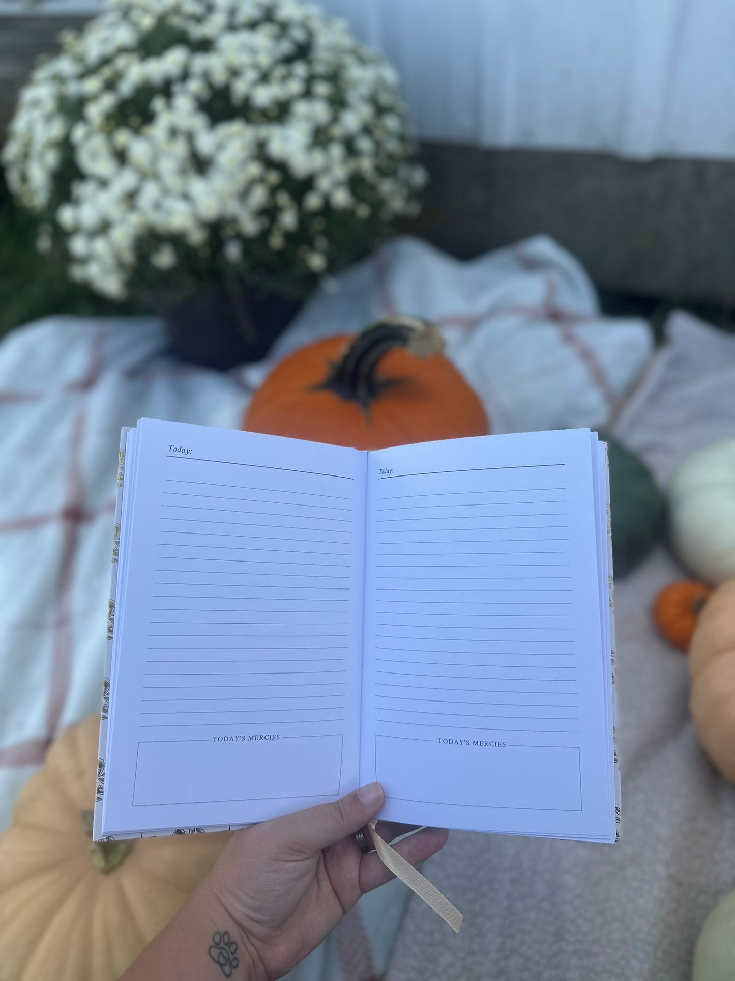 Daily Journal | New Morning, New Mercies