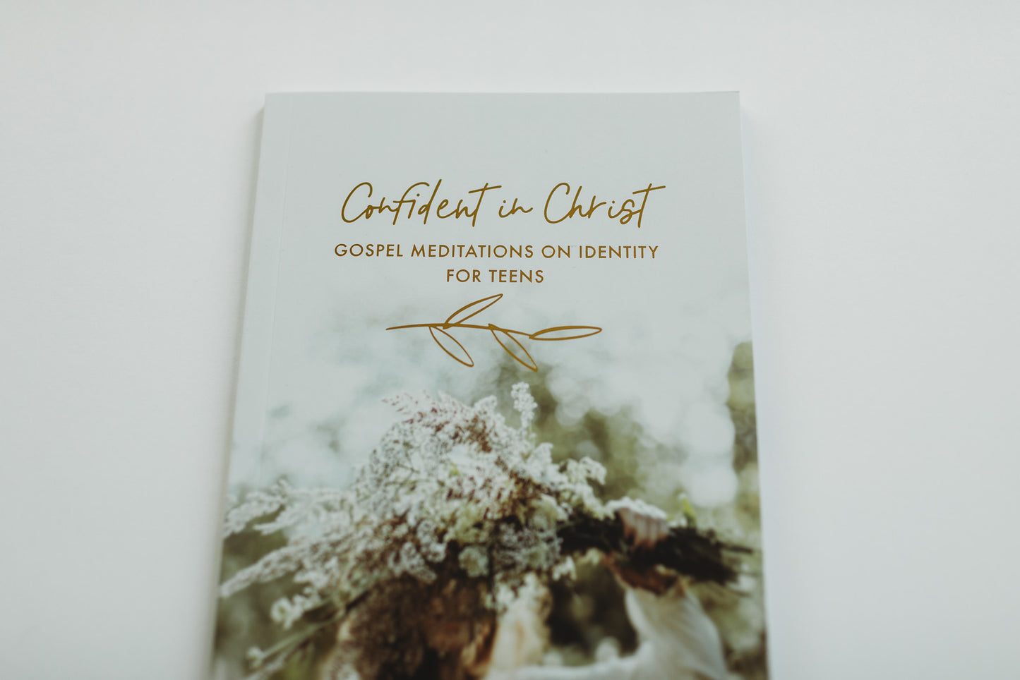 Confident in Christ: Gospel Meditations on Identity for Teens